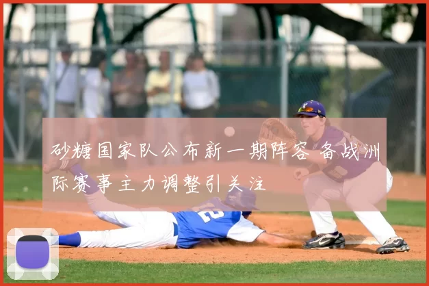 砂糖国家队公布新一期阵容 备战洲际赛事主力调整引关注